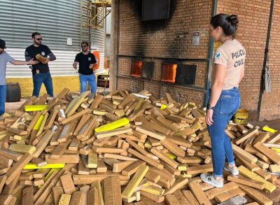 Imagem da notícia Polícia Civil incinera drogas apreendidas em Chapadão do Sul e região